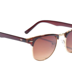 clubmaster zonnebril bruin